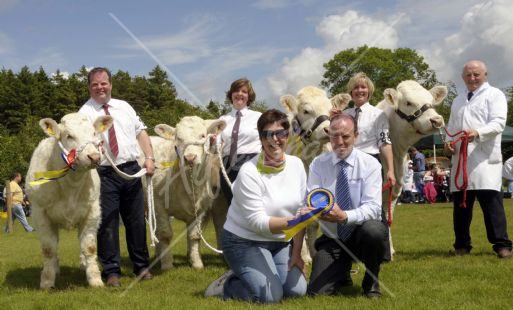 Dectomax Qualifiers at Armagh Show, Brigadoon Dolly with Albert Connelly, Brigadoon Duchess with Alison Connolly, Brigadoon Ena with David Connelly, Brigadoon Elle with Margaret McQuitston along side Libby McWilliams, Charolais Club and Frank McCrystal,Pfizer Dectomax Qualifiers at Armagh Show, Brigadoon Dolly with Albert Connelly, Brigadoon Duchess with Alison Connolly, Brigadoon Ena with David Connelly, Brigadoon Elle with Margaret McQuitston along side Libby McWilliams, Charolais Club and Frank McCrystal,Pfizer